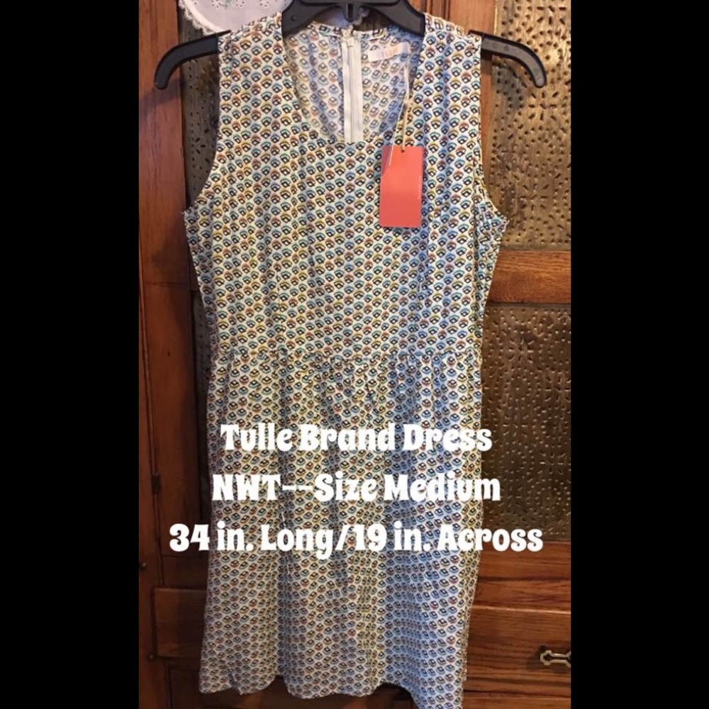Tulle Brand Dress